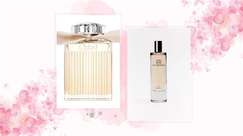 chloe signature perfume dupe|zara rose gourmand dupe for.